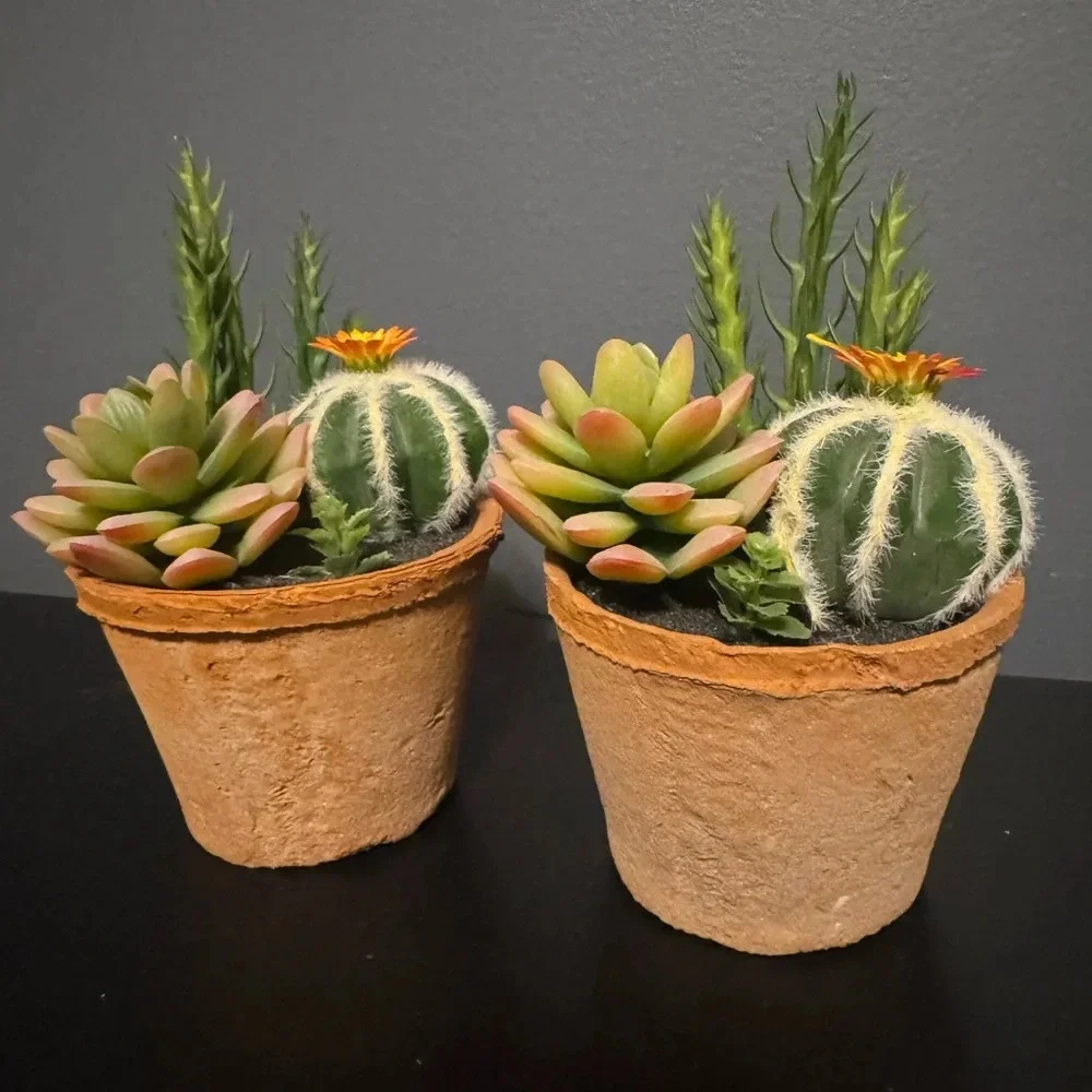 Fake succulent decor set of 2